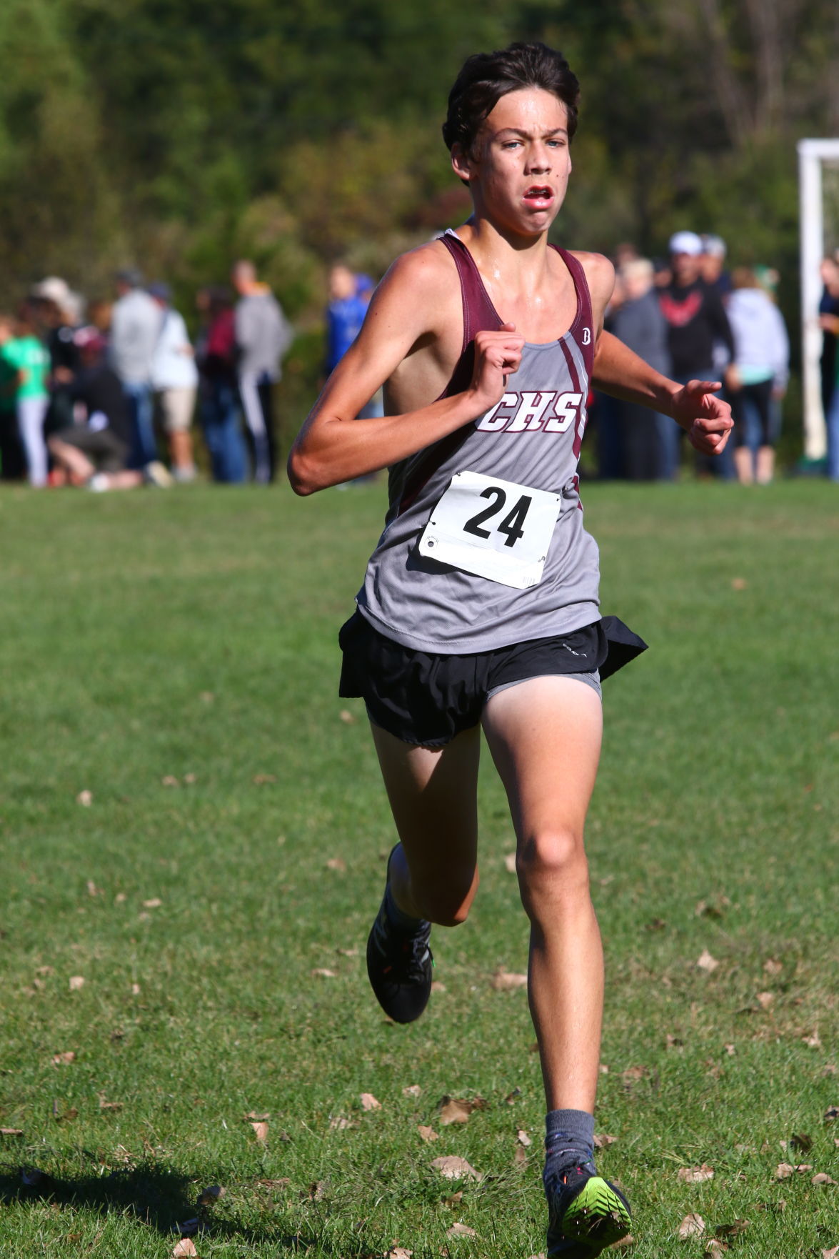 Gallery: Duneland Athletic Conference cross country meet